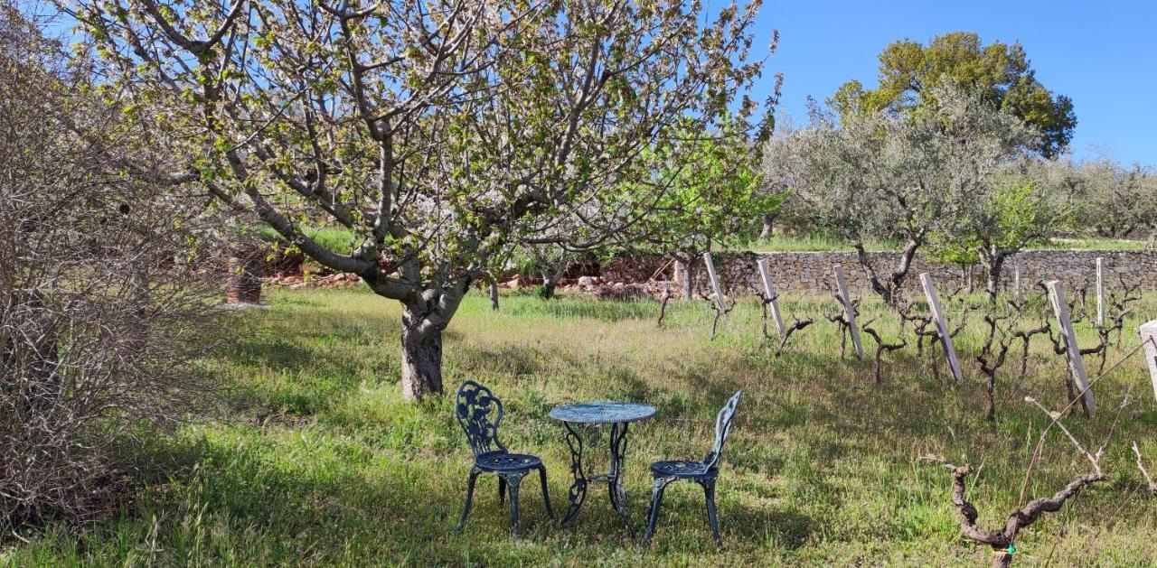 Il Vigneto Sole&Luna Con Piscina Privata 马丁纳弗兰卡 外观 照片