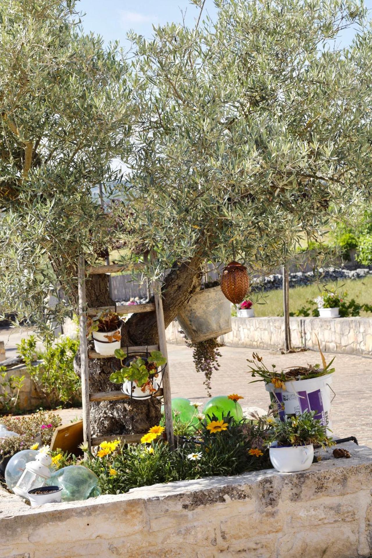 Il Vigneto Sole&Luna Con Piscina Privata 马丁纳弗兰卡 外观 照片